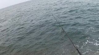 Морская рыбалка Hua Hin Khao Takiab вечерние 2 3 часа на легкие снасти и силиконовые приманки