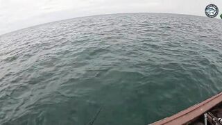 Giant trevally mayhem бесконечные поклевки на джиги и попперы во время морской рыбалки в Таиланде