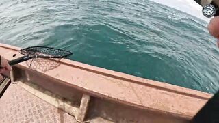 Giant trevally mayhem бесконечные поклевки на джиги и попперы во время морской рыбалки в Таиланде