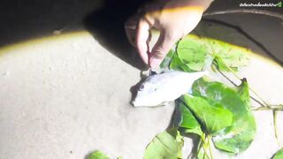 Исследуем пляж Hua Hin идем с удочкой к Khao Takiab и пробуем рыбалку по камням у храма на скале