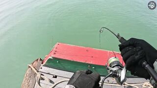 Попперы и GT на поверхности эпичная морская рыбалка у Khao Lak с PopmasterD и Barbiecuda на лонгтейле