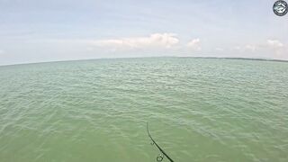 Попперы и GT на поверхности эпичная морская рыбалка у Khao Lak с PopmasterD и Barbiecuda на лонгтейле