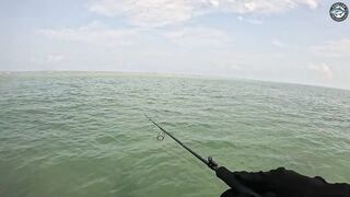 Попперы и GT на поверхности эпичная морская рыбалка у Khao Lak с PopmasterD и Barbiecuda на лонгтейле