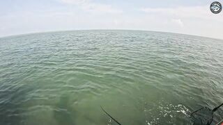 Попперы и GT на поверхности эпичная морская рыбалка у Khao Lak с PopmasterD и Barbiecuda на лонгтейле