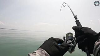 Попперы и GT на поверхности эпичная морская рыбалка у Khao Lak с PopmasterD и Barbiecuda на лонгтейле