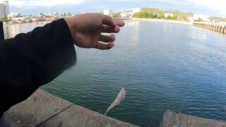 Ночная рыбалка с пирса Hua Hin EP 13 проверяем какие виды рыбы клюют под огнями в гавани