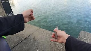 Ночная рыбалка с пирса Hua Hin EP 13 проверяем какие виды рыбы клюют под огнями в гавани