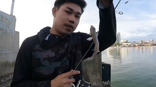 Ночная рыбалка с пирса Hua Hin EP 13 проверяем какие виды рыбы клюют под огнями в гавани