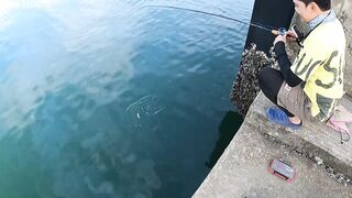 Ночная рыбалка с пирса Hua Hin EP 13 проверяем какие виды рыбы клюют под огнями в гавани