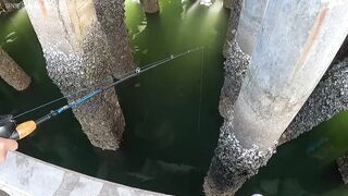 Ночная рыбалка с пирса Hua Hin EP 13 проверяем какие виды рыбы клюют под огнями в гавани