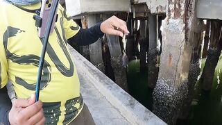 Ночная рыбалка с пирса Hua Hin EP 13 проверяем какие виды рыбы клюют под огнями в гавани