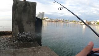 Ночная рыбалка с пирса Hua Hin EP 13 проверяем какие виды рыбы клюют под огнями в гавани