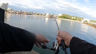 Ночная рыбалка с пирса Hua Hin EP 13 проверяем какие виды рыбы клюют под огнями в гавани