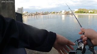 Ночная рыбалка с пирса Hua Hin EP 13 проверяем какие виды рыбы клюют под огнями в гавани