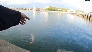 Ночная рыбалка с пирса Hua Hin EP 13 проверяем какие виды рыбы клюют под огнями в гавани