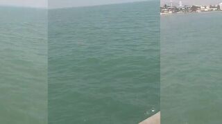 Если вы рыбак в Hua Hin можно ловить прямо с пирса ради улова или просто для удовольствия