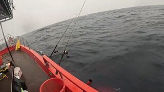 2 дня и 1 ночь морская рыбалка в Таиланде deep sea с электрокатушками и приключениями под дождем