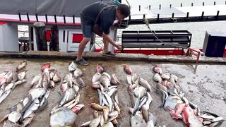 2 дня и 1 ночь морская рыбалка в Таиланде deep sea с электрокатушками и приключениями под дождем