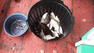 Таиланд Хуахин видео инструкция как правильно ловить рыбу в море у городского пирса