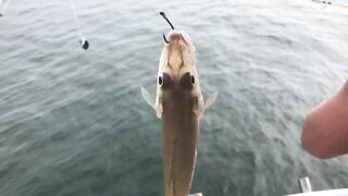 Таиланд Хуахин видео инструкция как правильно ловить рыбу в море у городского пирса