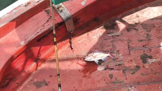 Таиланд Хуахин видео инструкция как правильно ловить рыбу в море у городского пирса