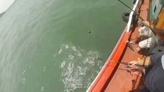 Профессиональная рыбалка в Хуахине трейлер к большому фильму о морской ловле в Таиланде