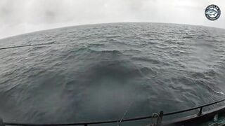 Khao Lak Таиланд шторм и солнце giant и diamond trevally плюс queenfish в одном выходе