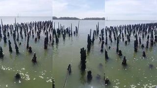 Рыбалка на морского снэппера в ракушечной акватории осторожные поклевки и резкие рывки