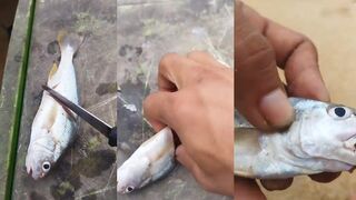 Морская рыбалка с берега свежая живая насадка и прибойные волны классический surffishing Таиланд