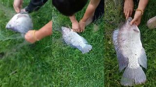 Рыбалка в пруду Khao Lak Таиланд отдых у воды и легкая ловля прудовой рыбы