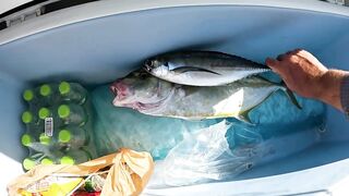 Каранкс на 24 г стик морская рыбалка на Пхукете и сашими своими руками прямо в лодке