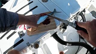 Каранкс на 24 г стик морская рыбалка на Пхукете и сашими своими руками прямо в лодке