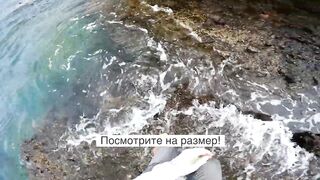 Рыбалка на Пхукете с берега Таиланд что можно поймать у камней и пирсов Андаманского моря