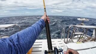 Тропическая рыбалка на Пхукете стоит ли лететь в Таиланд ради морских трофеев и адреналина