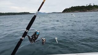 Тропическая рыбалка на Пхукете стоит ли лететь в Таиланд ради морских трофеев и адреналина
