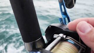 Тропическая рыбалка на Пхукете стоит ли лететь в Таиланд ради морских трофеев и адреналина