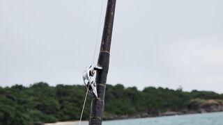 Тропическая рыбалка на Пхукете стоит ли лететь в Таиланд ради морских трофеев и адреналина