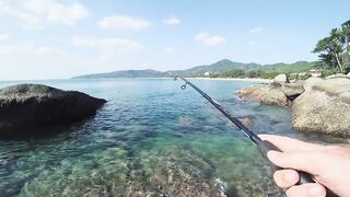 Поклевки отдай спиннинг морская рыбалка в Таиланде на Пхукете спиннинг Kaida Gallant