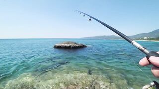 Поклевки отдай спиннинг морская рыбалка в Таиланде на Пхукете спиннинг Kaida Gallant
