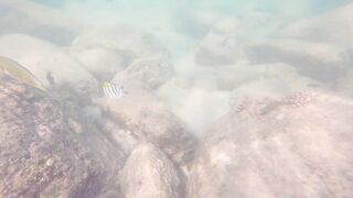 Поклевки отдай спиннинг морская рыбалка в Таиланде на Пхукете спиннинг Kaida Gallant