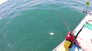 Морской джиг у островка Hon Lao рядом с Mui Ne рыба клюет почти без пауз эмоции зашкаливают