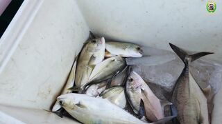 Морской джиг у островка Hon Lao рядом с Mui Ne рыба клюет почти без пауз эмоции зашкаливают