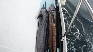 Мы в шоке 100 кг рыбы лучшая морская рыбалка на Пхукете марлины и тунцы словно обезумели