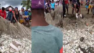 Традиционная ловля сетью на Филиппинах как местные вытаскивают рыбу из моря одной большой сетью