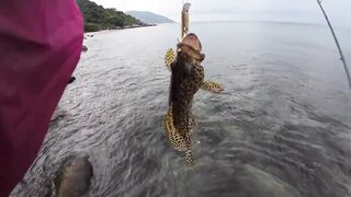 Морской воблер 5 г суперчувствительный кейпт только groupers каждая проводка дарит мощный удар