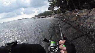 Морской воблер 5 г суперчувствительный кейпт только groupers каждая проводка дарит мощный удар