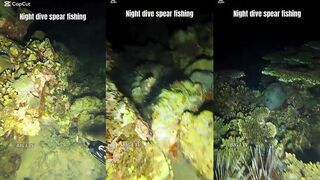 Philippines night dive spearfishing ночная подводная охота и вкусный ужин из свежей рыбы