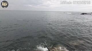 Rock fishing в Mũi Né береговая рыбалка по скалам на Ashino SuperFrog и плетню PE