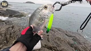 Rock fishing в Mũi Né береговая рыбалка по скалам на Ashino SuperFrog и плетню PE