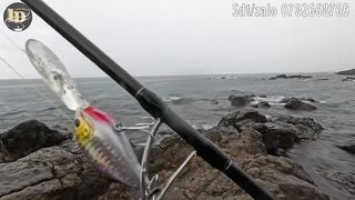 Rock fishing в Mũi Né береговая рыбалка по скалам на Ashino SuperFrog и плетню PE